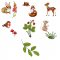 BFC1955 Animal Babies of the Forest
