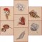 BFC1965 Boho Flowers and Leaves