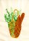 BFC1973 Kitchen Series - Herbs