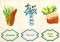BFC1973 Kitchen Series - Herbs