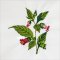 BFC1989 Wildflower Quilt Blocks