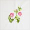 BFC1989 Wildflower Quilt Blocks