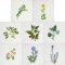 BFC1989 Wildflower Quilt Blocks