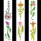 BFC2006 Art Nouveau Floral Elements
