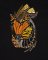 BFC2018 Delight's Monarchs and Roses