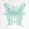 BFC2020 Delicate Butterflies