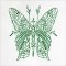 BFC2020 Delicate Butterflies