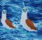 BFC31983  Blue Footed Booby