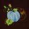 BFC2026 Elegant Pumpkins