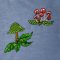 BFC2028 Delight's Raven's Mushrooms - Individual Designs