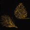 BFC2039 Golden Pinecones