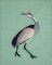 BFC2044 Equatorial Guinea Birds and Grasses