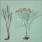 BFC2044 Equatorial Guinea Birds and Grasses