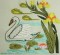 BFC0206 Fanciful Birds and Flowers