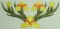 BFC0206 Fanciful Birds and Flowers