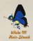 BFC2068 The Butterfly Babies Series - Part 1