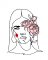 BFC2071 Women Portraits in a Minimalist Style