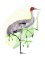 BFC2074 Birds of Australia