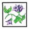 BFC2090 QIH Coloring Quilt Blocks