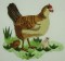 BFC0212 More Roosters