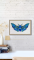 BFC2121 The Turquoise Moth