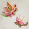 BFC2125 Fanciful Flowers