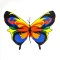 BFC2127 Awesome Butterflies