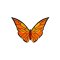 BFC2127 Awesome Butterflies