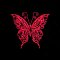 BFC2127 Awesome Butterflies