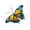 BFC2127 Awesome Butterflies
