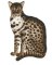 RMG2128 Fishing Cat