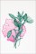 BFC2173 Modern Greenery
