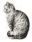 RMG2185 Cat Napping