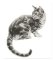 RMG2259 Cat