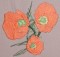 BFC0237 Poppies