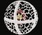 RMG237 Radiolarians Set 1