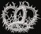 RMG237 Radiolarians Set 1