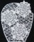 BFC0240 Lace Bowl & Doily-Lace Rose