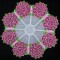 BFC0240 Lace Bowl & Doily-Lace Rose