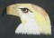 BFC0241  Native American Symbols
