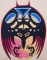 BFC0241  Native American Symbols
