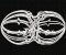 RMG237 Radiolarians Set 1