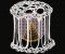 RMG237 Radiolarians Set 1