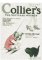 RMG2476  Colliers c.1918