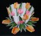 BFC0248 Lace Bowl & doily-Watercolor Tulips