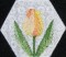 BFC0248 Lace Bowl & doily-Watercolor Tulips