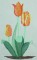 BFC0250 Watercolor Tulips