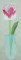 BFC0250 Watercolor Tulips