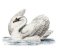 RMG2532 Swan