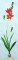 BFC0254 Botanical Bulbs